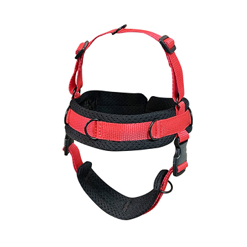 Head support